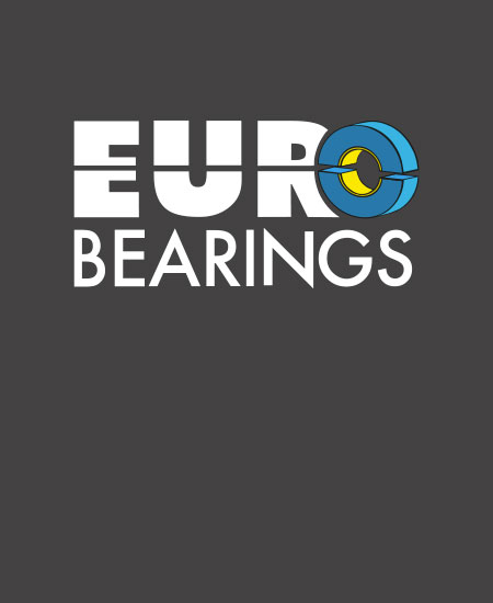 Mauro Mozzato Eurobearings Directeur Général EUB Inde